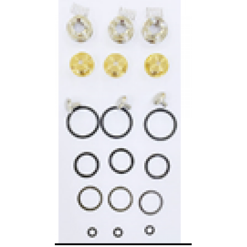 KIT 702 Рем. комплект обратного клапана для помпы DS 1650