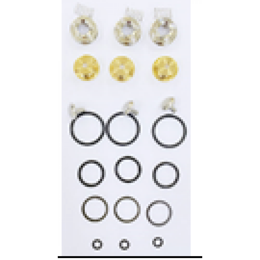 KIT 702 Рем. комплект обратного клапана для помпы DS 1650