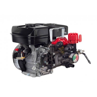 Мотопомпа AR 252 Robin SP17 BlueFlex™ VRI (GR 30) арт. 32269