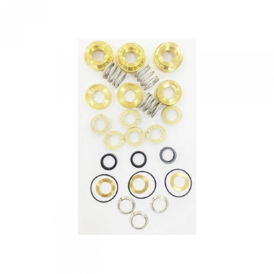 KIT 701 Рем. комплект водяных сальников для помпы DS 1650