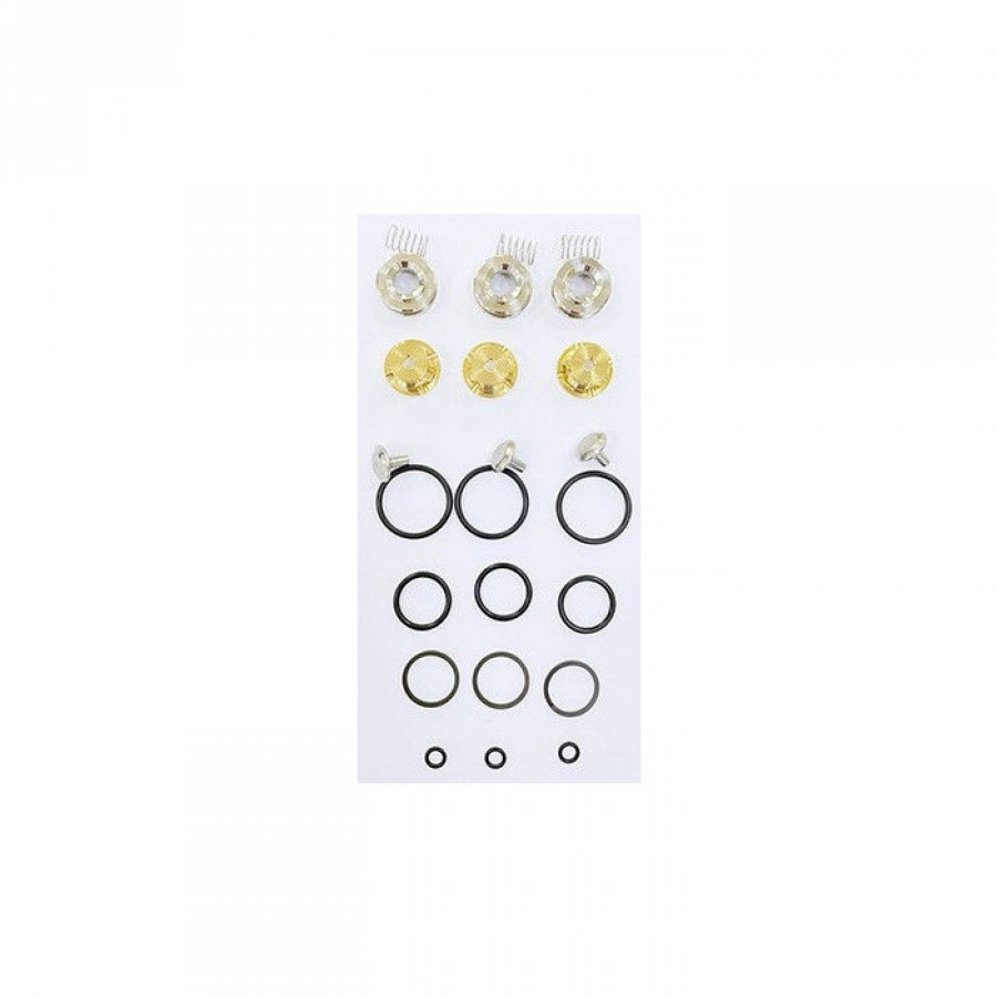 KIT 702 Рем. комплект обратного клапана для помпы DS 1650
