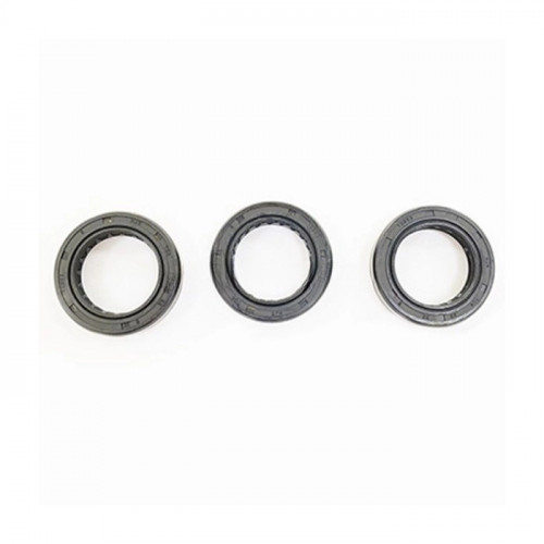 KIT 704 Рем. комплект маслянных сальников для помпы DS 1650