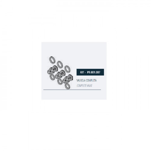 Комплект клапанов насоса Mazzoni GM, P9.001.007 Комплект клапанов насоса Mazzoni GM, P9.001.007