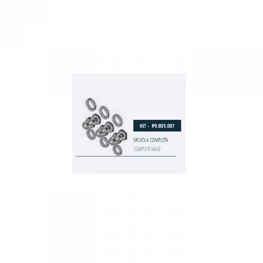 Комплект клапанов насоса Mazzoni GM, P9.001.007