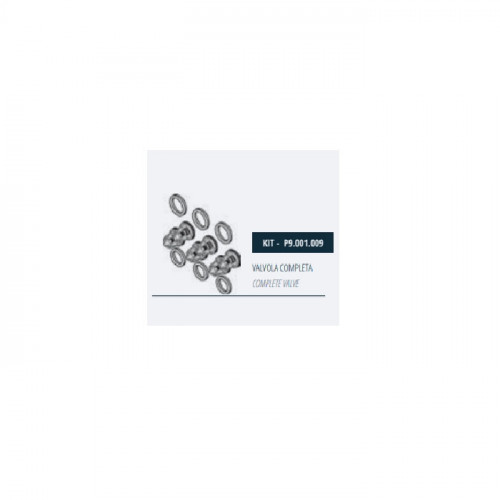 Комплект клапанов насоса Mazzoni GMX, P9.001.009 Комплект клапанов насоса Mazzoni GMX, P9.001.009