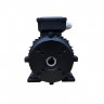 Мотор H112 HP 7.5 4P MA AC KW 5,5 4P (межосевое расстояние 75мм)